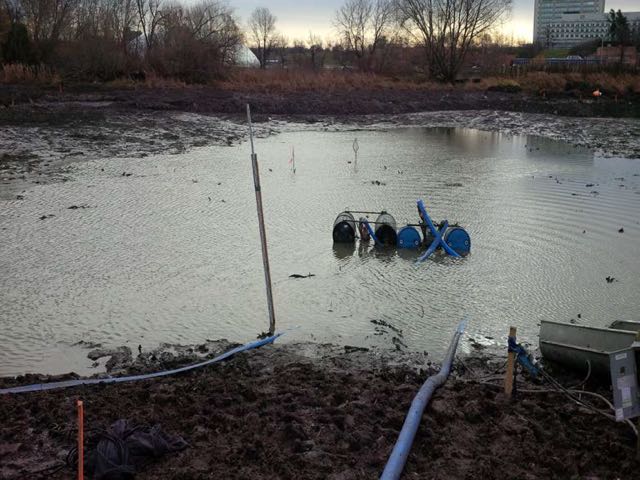 Brewer Pond