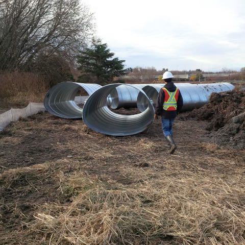 Calvert that will re-connect the pond to the main river