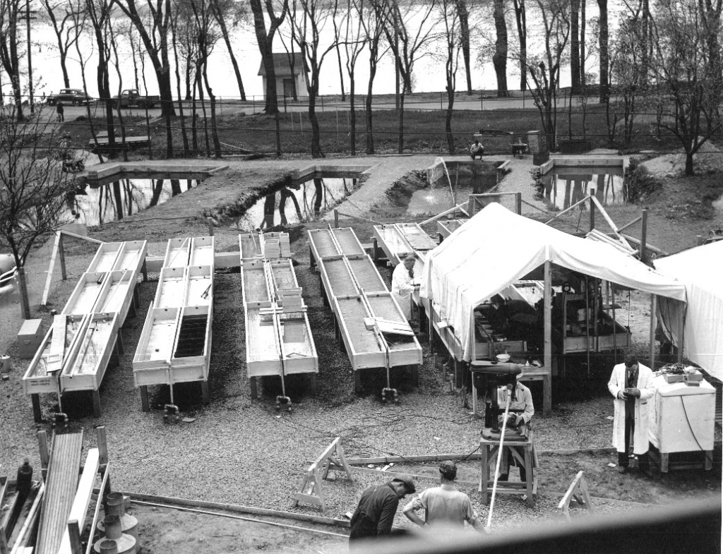 Photo 2 - Écloserie de maskinongé à Lachine (1950-1964). Crédit : MFFP.
