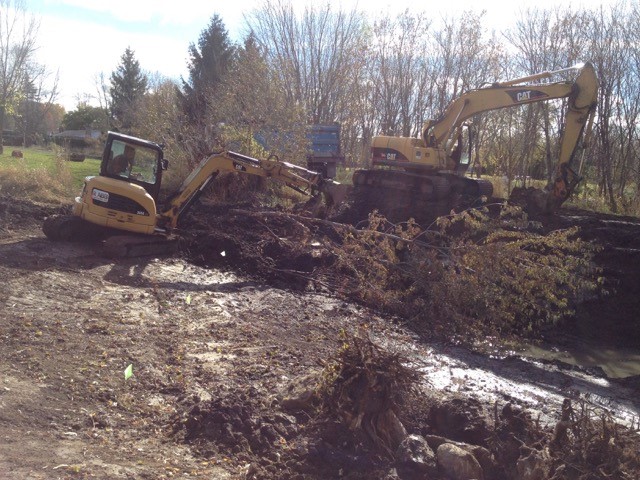 Putting in structure (trees and stumps) to enhance the habitat for small fry