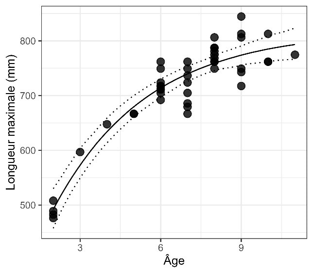 Figure 2. Relation longueur-âge chez la population de maskinongés du lac Traverse. La ligne pleine représente la courbe de croissance de von Bertalanffy et les lignes pointillées l’incertitude à 95 %. La longueur totale maximale est exprimée en millimètres (panneau de gauche) ou en pouces (panneau de droite).