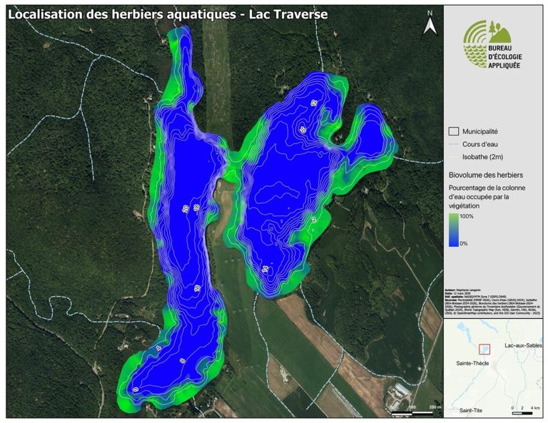 Localisation des herbiers - lac Traverse - Qc